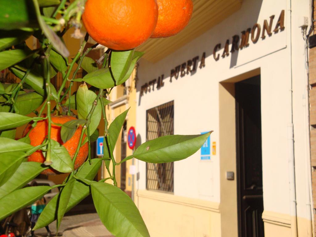 Hostal Puerta Carmona إشبيلية المظهر الخارجي الصورة