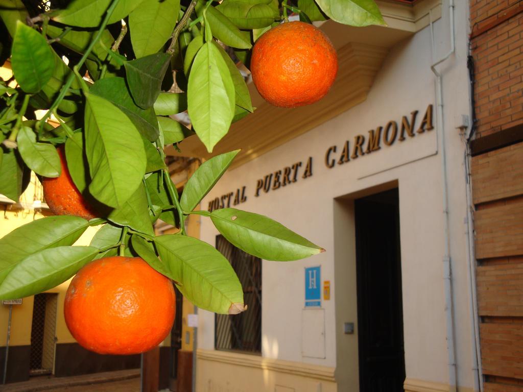 Hostal Puerta Carmona إشبيلية المظهر الخارجي الصورة